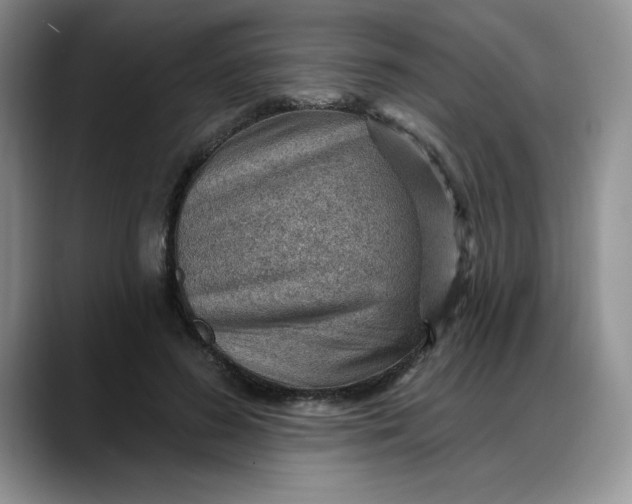 X0000088160596200705291913