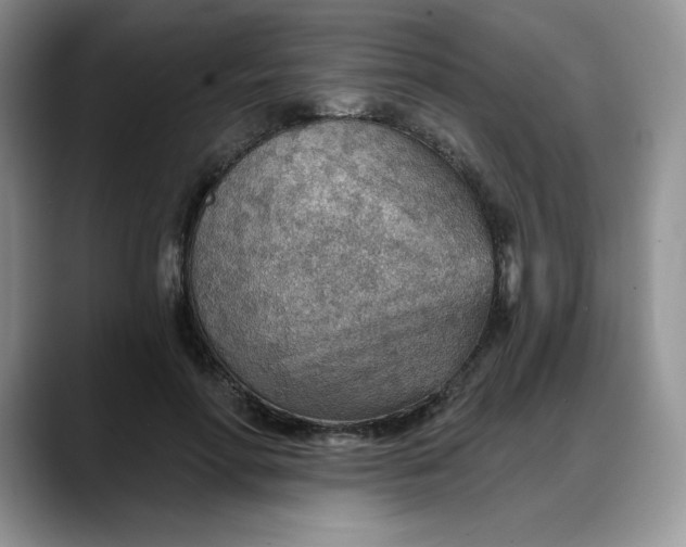 X0000088160598200705291913