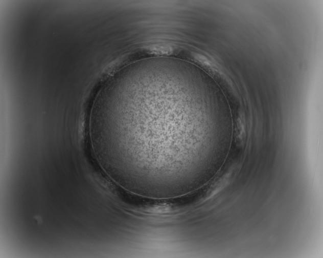 X0000088160600200705291913