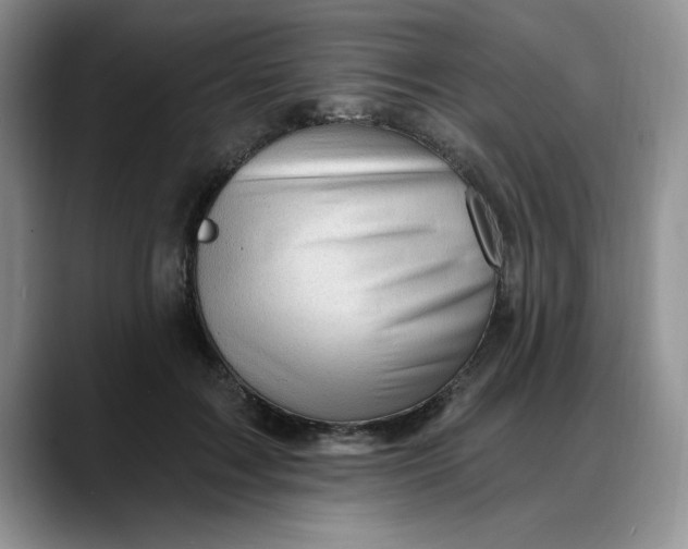 X0000088160603200705291913