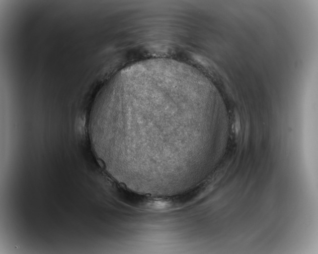 X0000088160610200705291913