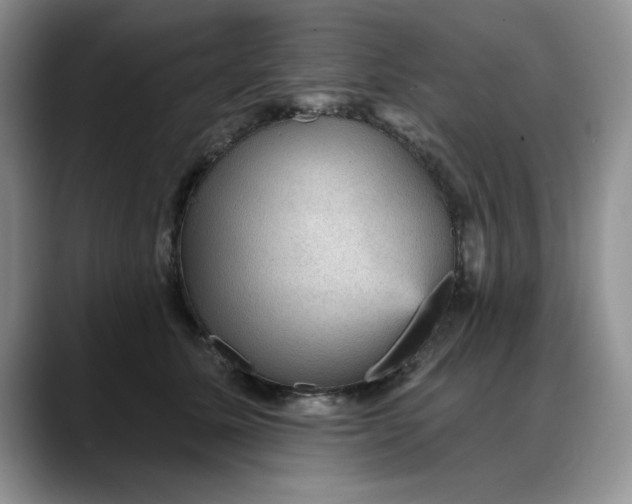X0000088160611200705291913