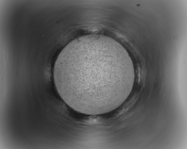 X0000088160612200705291913