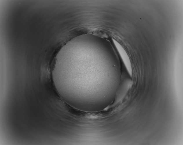 X0000088160613200705291913