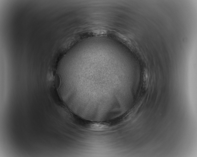 X0000088160614200705291913