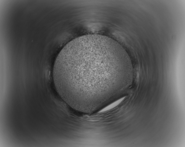 X0000088160615200705291913