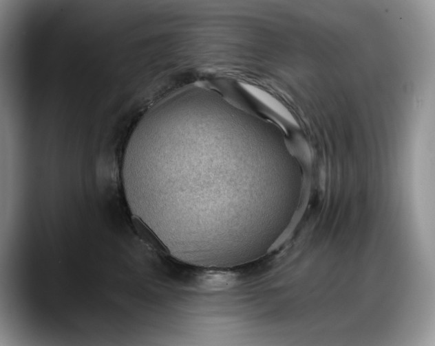 X0000088160617200705291913