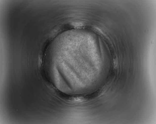 X0000088160618200705291913