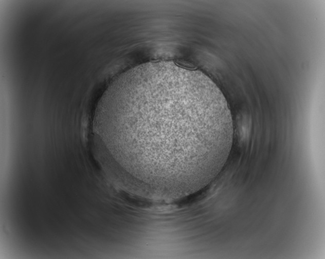X0000088160619200705291913