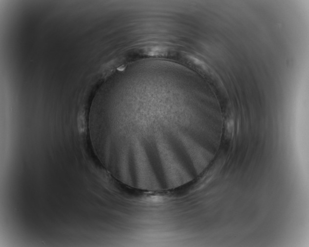 X0000088160620200705291913