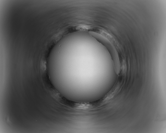 X0000088160621200705291913