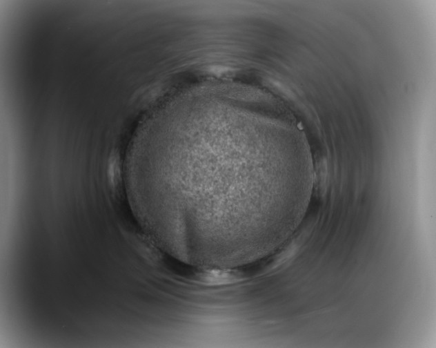 X0000088160623200705291913