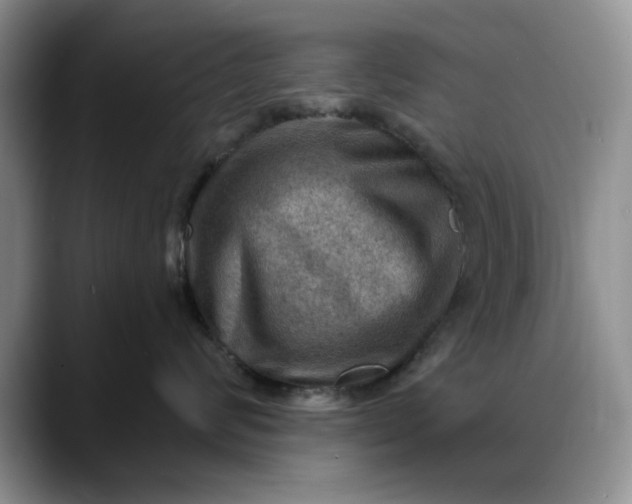 X0000088160624200705291913