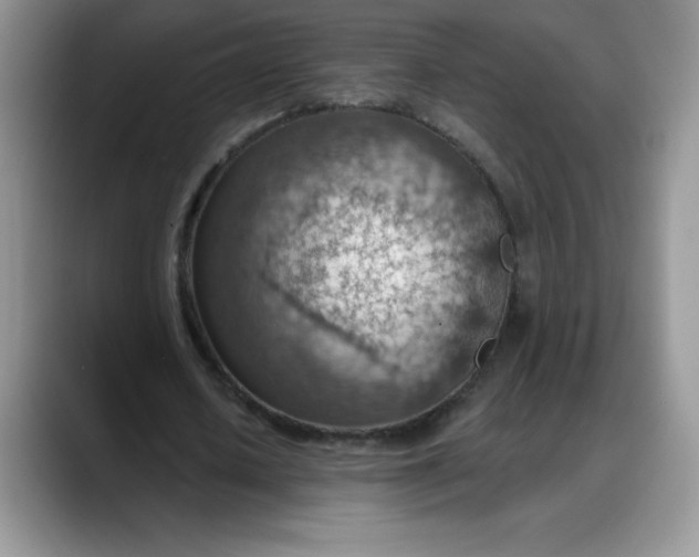 X0000088160626200705291912