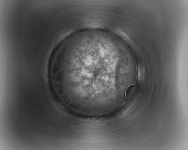 X0000088160627200705291912