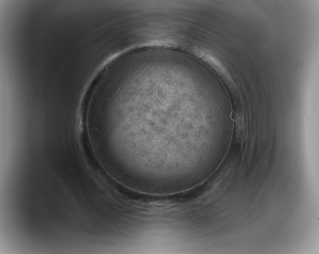 X0000088160628200705291912