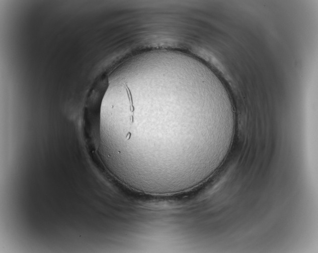 X0000088160629200705291912