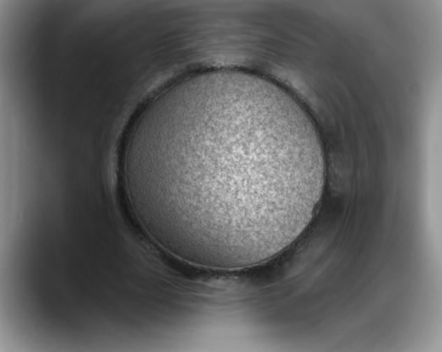 X0000088160631200705291912