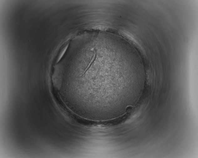 X0000088160634200705291912