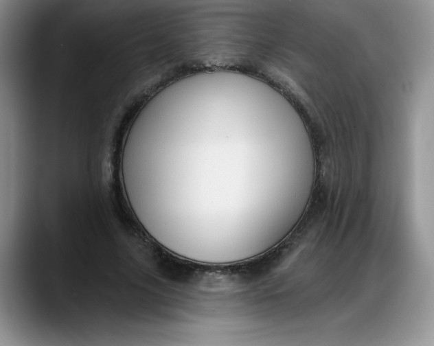 X0000088160635200705291912