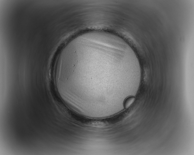 X0000088160636200705291912
