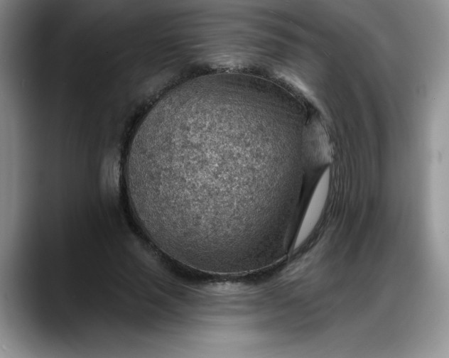X0000088160637200705291912