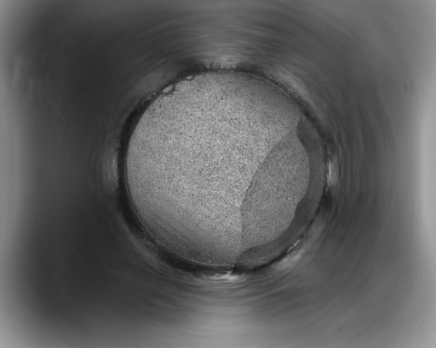 X0000088160638200705291912