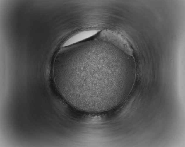 X0000088160640200705291912