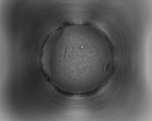 X0000088160641200705291912