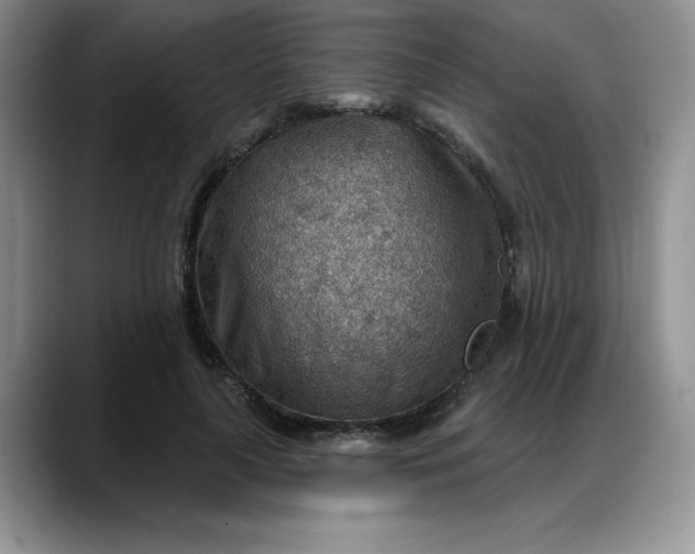 X0000088160643200705291912