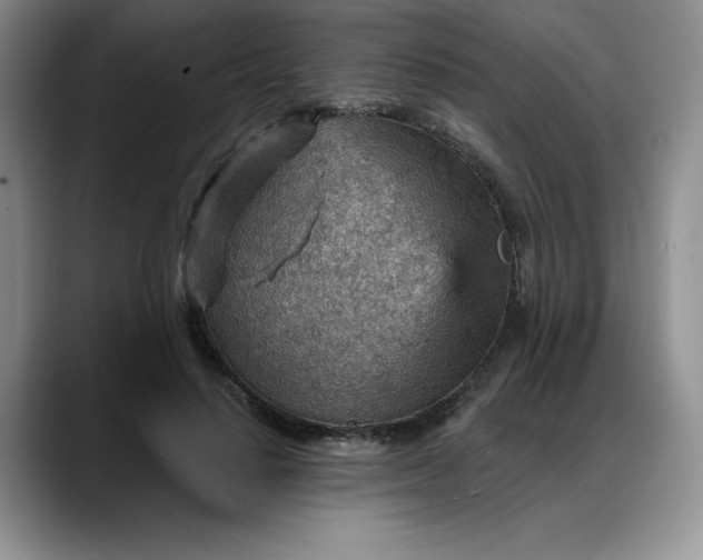 X0000088160644200705291912