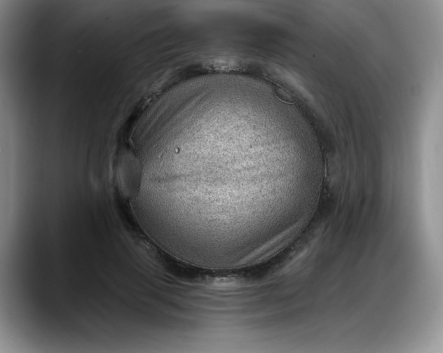 X0000088160645200705291912