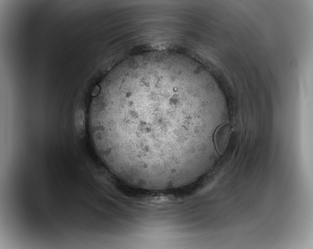 X0000088160646200705291912