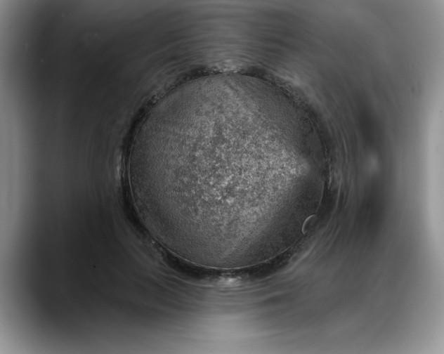 X0000088160647200705291912