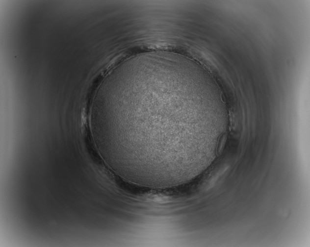 X0000088160648200705291912