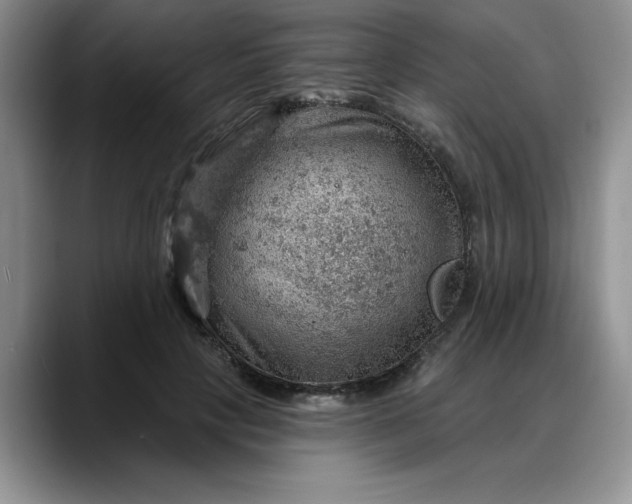 X0000088160649200705291912