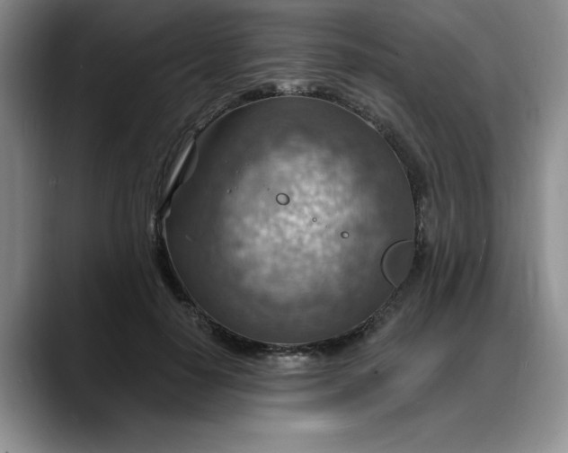X0000088160650200705291912