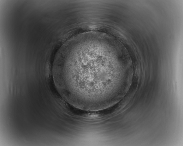 X0000088160651200705291912
