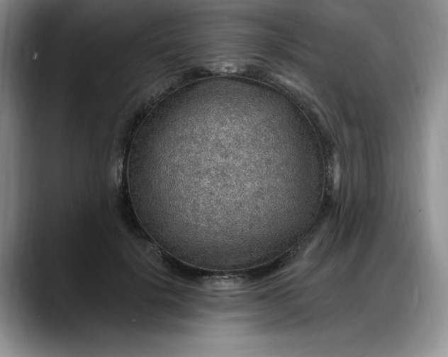 X0000088160652200705291912