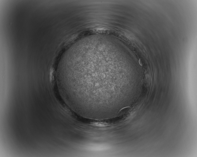 X0000088160654200705291912