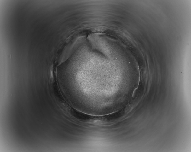 X0000088160655200705291912