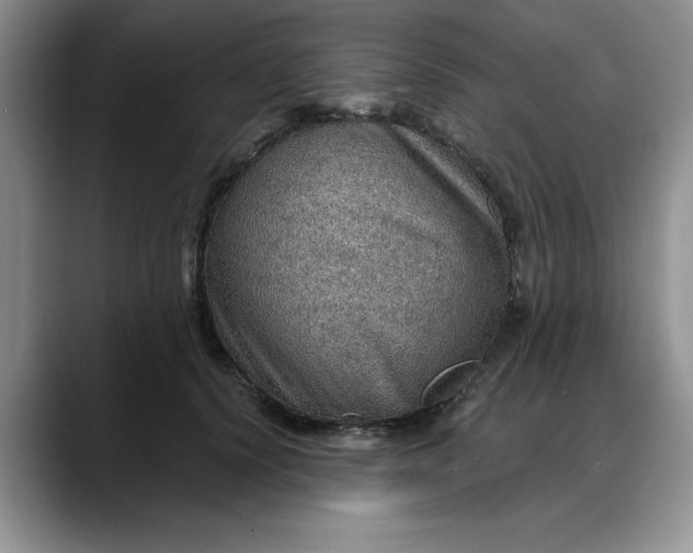 X0000088160656200705291912