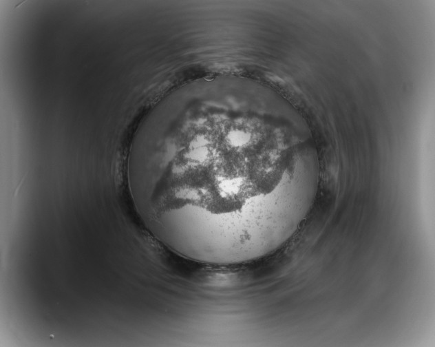 X0000088160658200705291912