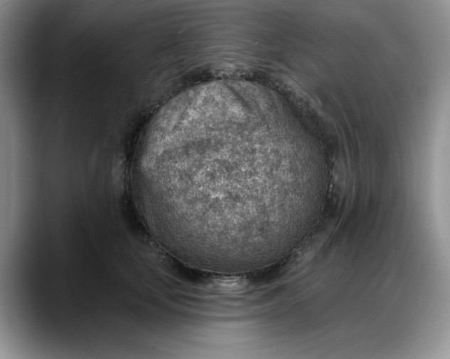 X0000088160659200705291912