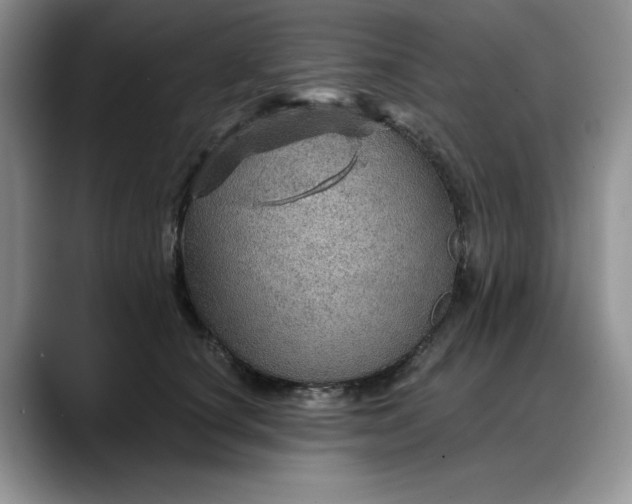 X0000088160660200705291912