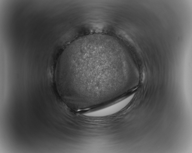 X0000088160661200705291912