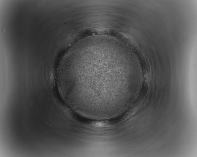 X0000088160662200705291912