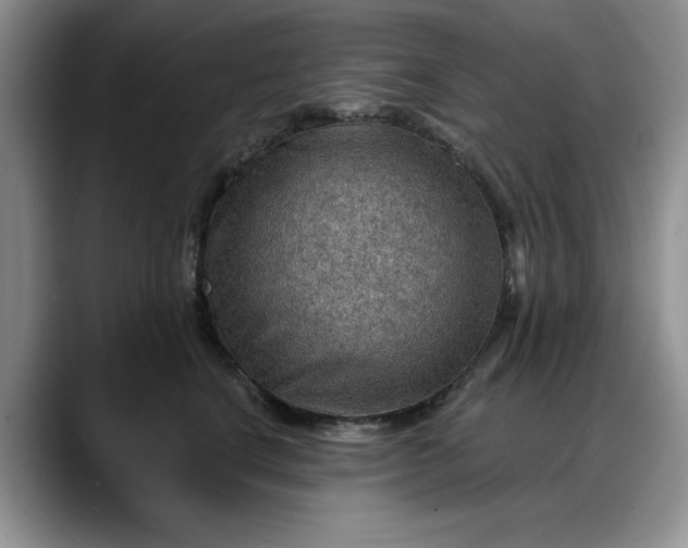 X0000088160664200705291912