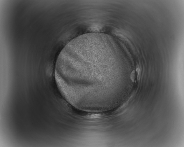 X0000088160665200705291912