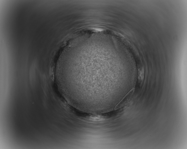 X0000088160666200705291912